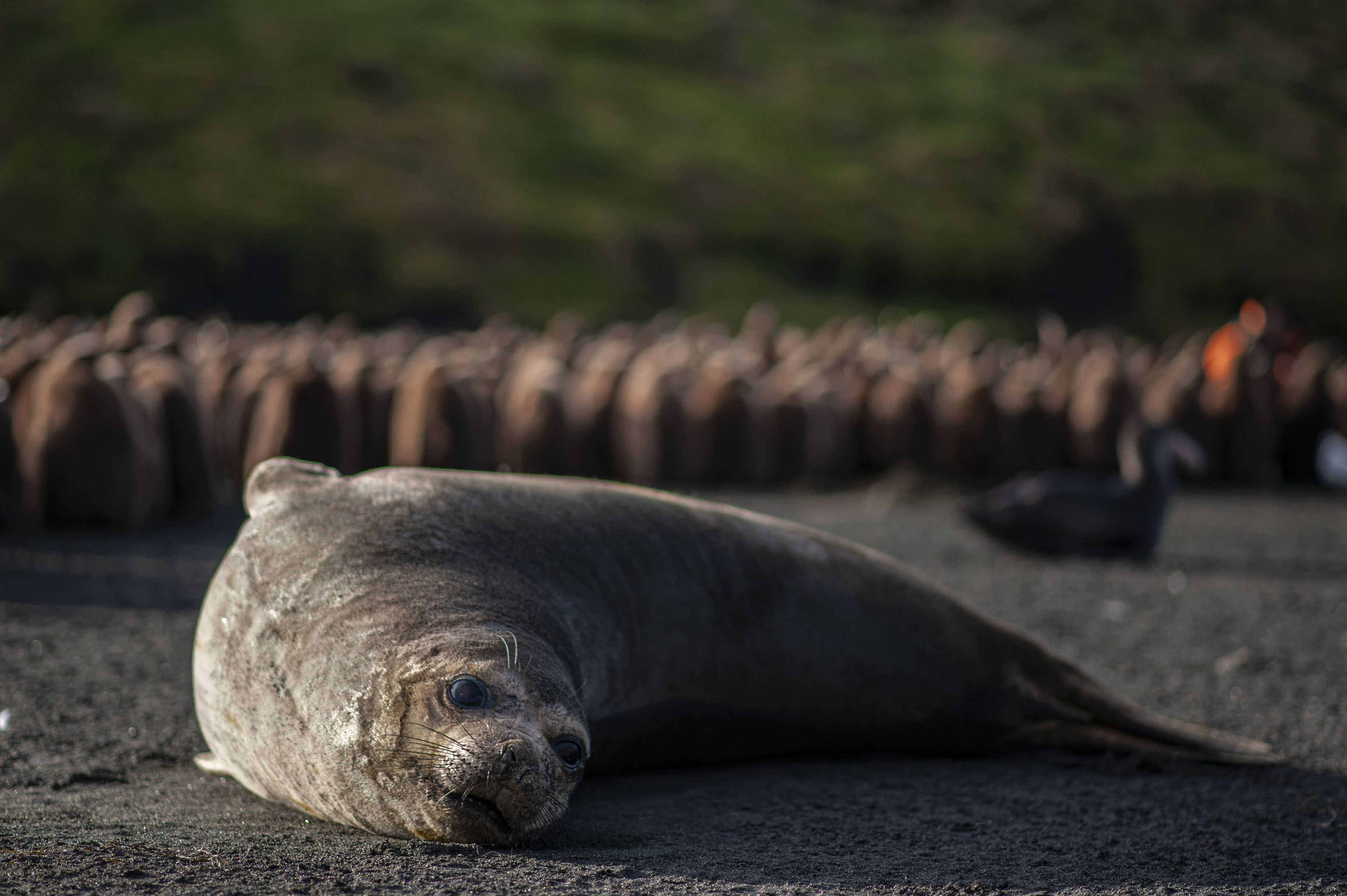 GYT 20220701 134527  DSC6262